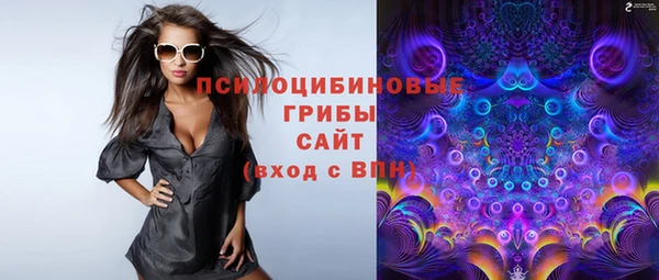 дурь Балахна